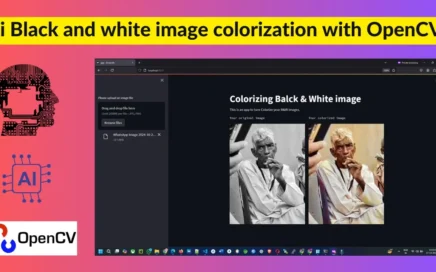Ai Black and White Image Colorization with OpenCV